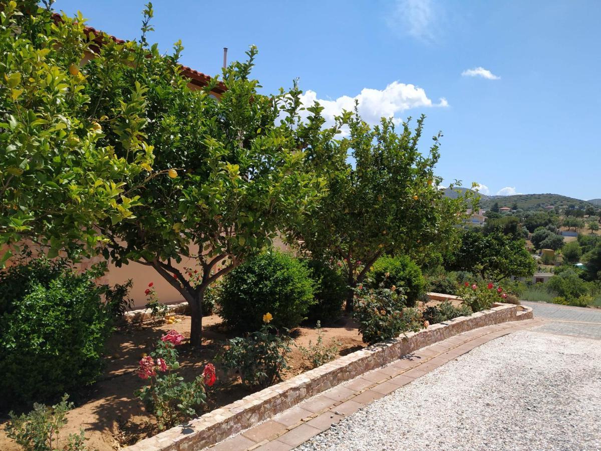 Villa Vena Palaiá Fókaia Екстериор снимка