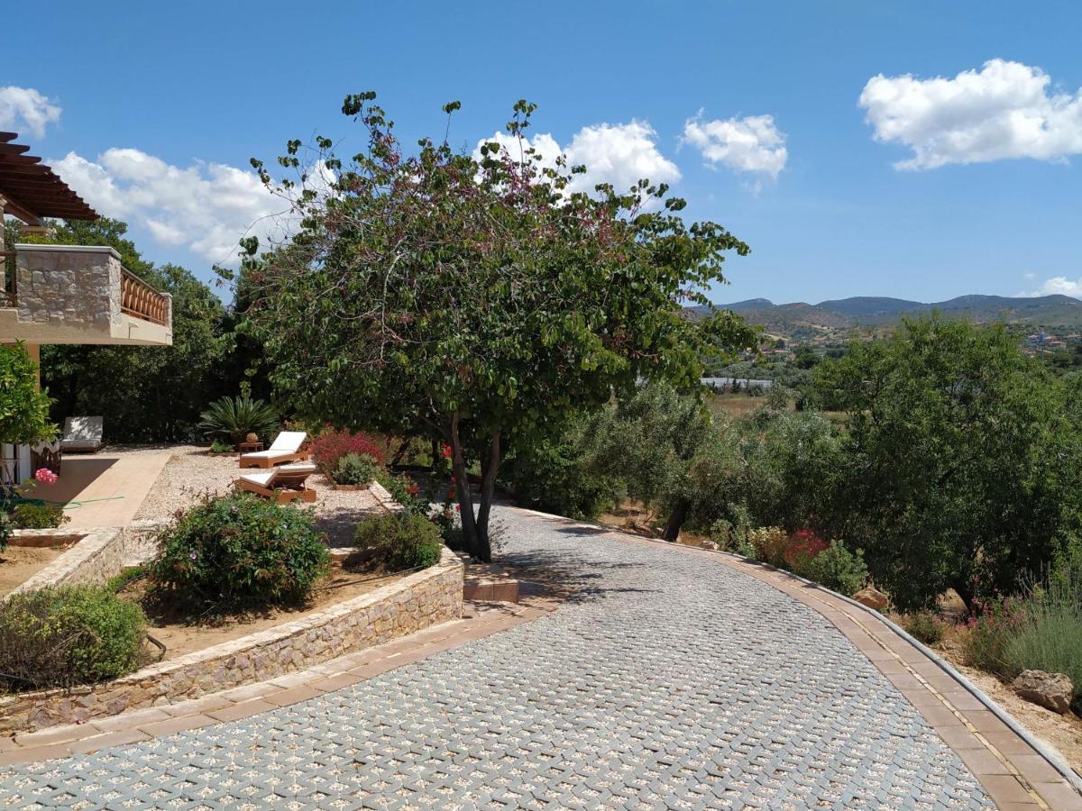 Villa Vena Palaiá Fókaia Екстериор снимка