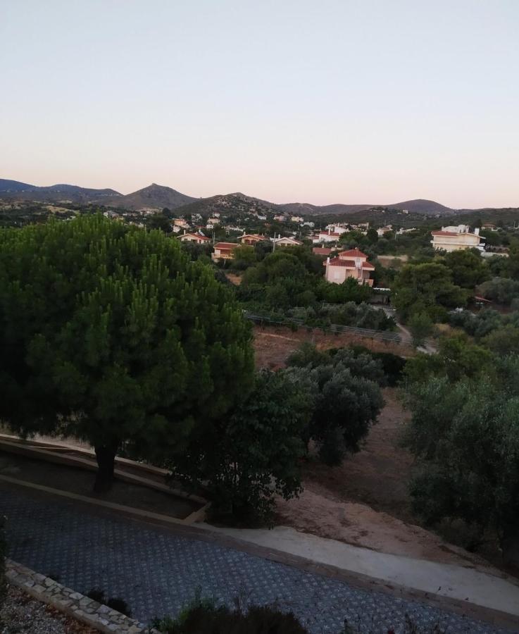 Villa Vena Palaiá Fókaia Екстериор снимка